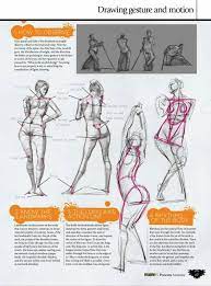 Pin By Valeria Alvear On Anatomy Human Figure Drawing Tutorial Figure Drawing Anatomy Drawing