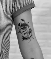 See more ideas about ladybug, lady bug tattoo, bug tattoo. Top 31 Best Ladybug Tattoo Ideas 2021 Inspiration Guide