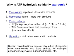 > the equation for hydrolysis of atp is there are three reasons why energy is released upon hydrolysis. Why Atp Hydrolysis Is Highly Exergonic Wasfa Blog