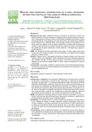 Image result for Pleiotaxis argentea