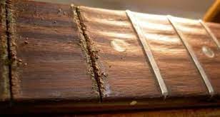 Best Way To Clean & Protect Your Fretboard/Fingerboard (Coconut Oil Is The  Key) | Warehouse Guitar Speakers
