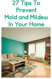 Mold (american english) or mould (british english), also sometimes referred to as mildew, is a fungal growth that develops on wet materials. Mold Prevention 27 Tips To Prevent Mold And Mildew In Your Home Mold Help For You