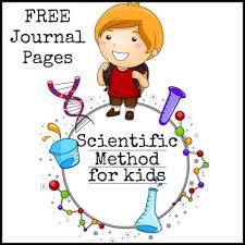 How can we help you? Scientific Method For Kids With Examples Little Bins For Little Hands