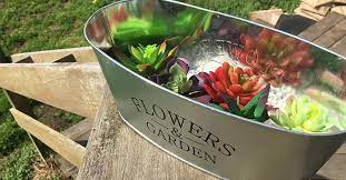 Get free shipping on qualified cactus succulents or buy online pick up in store today in the outdoors department. Diy Mini Succulent Planters Terrariums Dollar Tree