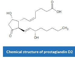 In 2012, researchers discovered a link between the pgd2 receptor and hair loss. Is A New Pgd2 Hair Loss Cure Imminent