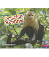 Get info of suppliers, manufacturers, exporters, traders of monkey repellent for buying in india. Capuchin Monkeys Buy Capuchin Monkeys Online At Low Price In India On Snapdeal