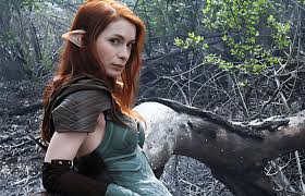 Image result for Felicia grantii