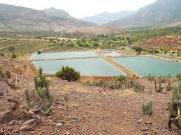 With an average of 10.1h of daylight, june has the shortest days of the year in petorca. The Socio Environmental Impact Of The Avocado Industry In Petorca Province Heinrich Boll Stiftung Santiago De Chile Chile Argentina Paraguay Uruguay