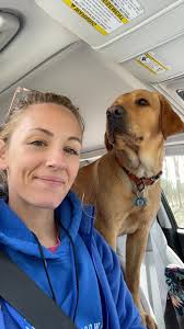 Do bears pose a threat