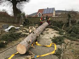 Ihre grünanlage ist ihr aushängeschild. Uber Uns Garten Und Landschaftsbau Wenz Gbr