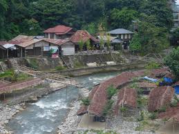 This tree was known as the lawang tree and discovered on two small islands on the indonesian archipelago which made paramao's root oil very rare indeed! Indonesia Sumatra A Trip To See Orang Utans At Bukit Lawang En Infoglobe Cz
