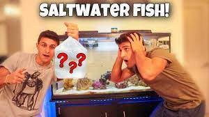 SURPRISING My BROTHER With His DREAM FISH!! - YouTube