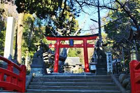 伊豆で初詣に行くならここ！人気神社5社を紹介 - COLUMN｜Izu Letters