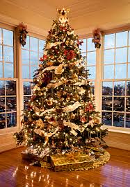 În zilele noastre împodobirea bradului de crăciun a devenit una dintre cele mai iubite datini atât în mediul rural cât și urban, odată cu așteptarea în seara de ajun a lui moș crăciun. Pin On Winter Christmas 04