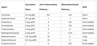 Steroid Conversion Litfl Ccc