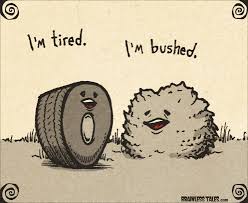 Image result for tired