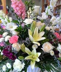 Maybe you would like to learn more about one of these? About Us Flower Me Florist San Antonio Tx