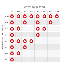 If the blood types are not compatible, red blood cells will clump together, making clots that can block blood vessels and cause death. Blood Donation Coolguides