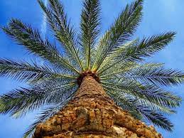 iraqisonmymind amazing photography baghdad iraq baghdad