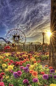 Anaheim California Garden Walk Near Disneyland Hdr Photography Disney California Adventure Park Disneyland Resort