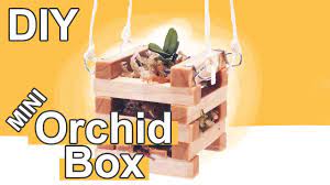 Long or custom redwood or deck boxes. How To Make A Mini Orchid Planter Under 5 Diy Youtube