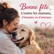 Bonne fête à toutes les mamans, d'humains comme d'animaux ...