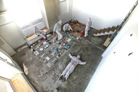 Tanztendenz Munchen E V