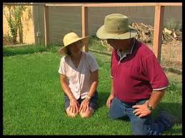 Pe anti bird netting,woven anti bird netting/knotted bird net/knitted net the anti bird net is ideal for protecting and covering fruit trees, herb gardens and vegetables. How To Install Bird Netting Over Small Fruit Trees Youtube