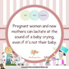 Pin On Everything Pregnancy Birth Meme Related