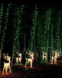 December Nights And Holiday Lights Savannah Chat Holiday Lights December Nights