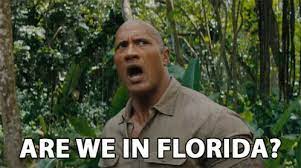 Are We In Florida Humid Gif Areweinflorida Inflorida Florida Discover Share Gifs Gif Florida Giphy