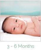 Toddler Nap Transitioning from 2 Naps to 1