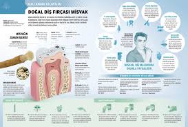 Misvak Grafik Infografik Dis Sagligi Infografik Dogal Saglik Ve Fitness