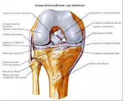 Ah puis, j'ai ce poignet qui se bloque et craque fréquemment, et parfois des douleurs vers les métacarpes, quelqu'un m'a fait l'hypothèse d'une vieille entorse mal soignée. Traitement Des Douleurs Du Genou A Paris Jerome Auger Kinesitherapie
