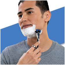 Сменные кассеты для бритья Wilkinson Sword Hydro 5 Skin Protection Regular  (8 шт.)