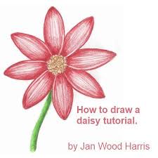 How To Draw A Daisy Step By Step Flower Drawing Tutorials Easy Flower Drawings Flower Drawing