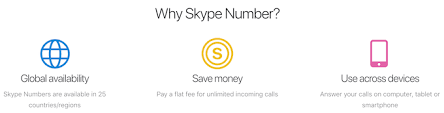 Step # 3 choose your skype number details. How To Get Your Own Skype Phone Number