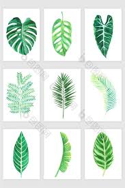 Maybe you would like to learn more about one of these? Over 1 Million Creative Templates By Pikbest Watercolor Plants Plant Leaves Leaf Drawing