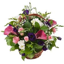 Maybe you would like to learn more about one of these? Buy Compliment Flower Delivery Cachar Ufl