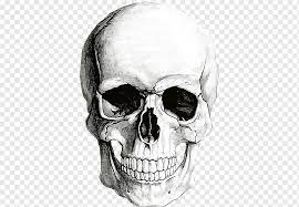 Maybe you would like to learn more about one of these? Human Skull Painting Human Skull Symbolism Human Skeleton Drawing Skull Face Monochrome Head Png Pngwing