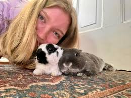 Hello, I have a bonded pair(female and male) my male rabbit is perfectly  trained at using the litter box and never misses or tries to go outside of  it. My female is