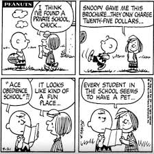 Her penchant for independent thought sometimes fosters unintentional comedy: Charlie Brown Peppermint Patty Snoopy Funny Snoopy Comics Snoopy School