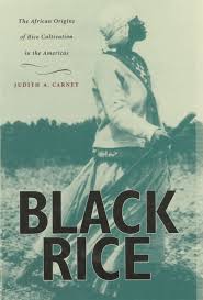 Black Rice — Harvard University Press