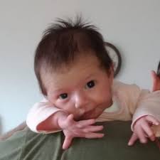 Heather Pollock (@heatherepollock)