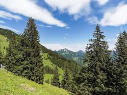 Le pays fait en effet figure de paradis des sports outdoor : Montagne Paysages Alpes La Nature Tyrol L Autriche Paturage Randonnee Nature Alpes Pikist