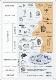 Figura 7 2 Bosquejo De La Evolucion De La Vida Durante El Tiempo Geologico Celeste Medio Mar Ciencias De La Escuela Intermedia Geologia Ciencias De La Tierra