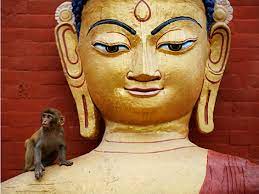 In kushinagara, indien), auch shakyamuni (skrt. Buddha Lexikon Der Religionen