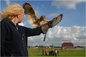 MAAK KENNIS MET ROOFVOGELS EN UILEN