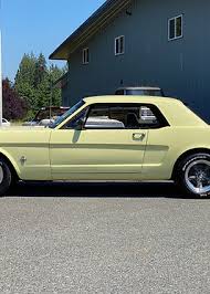 Image result for Springtime Yellow 1966 Mustang