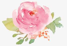 Check spelling or type a new query. Watercolor Pink Flower Png Transparent Png Kindpng